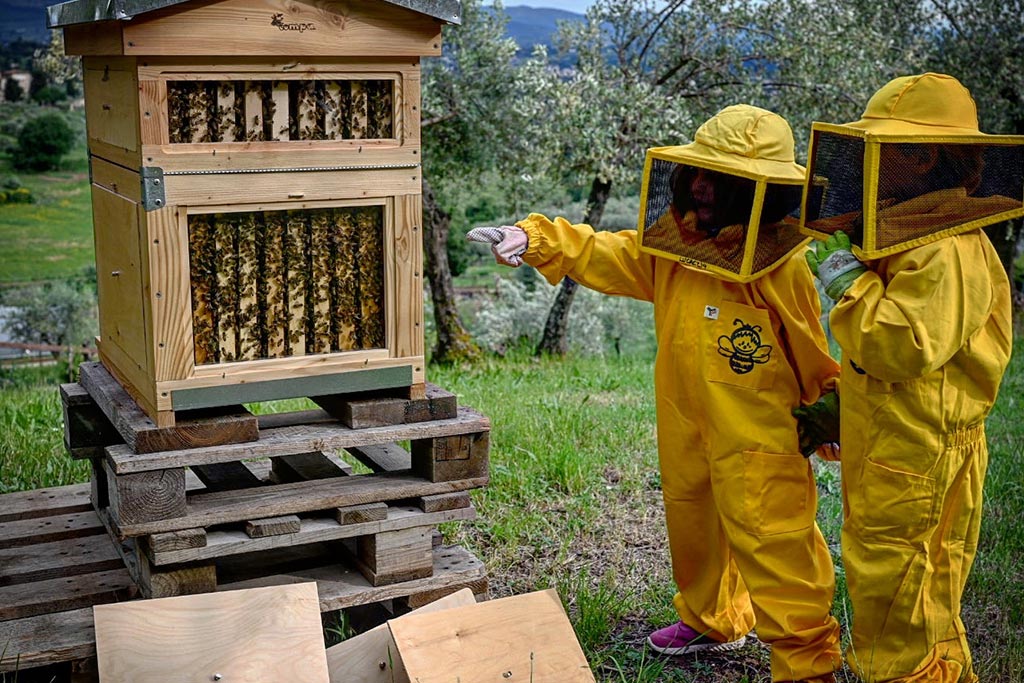 Agriturismo Fattoria di Maiano per bambini a Fiesole, laboratori sulle api