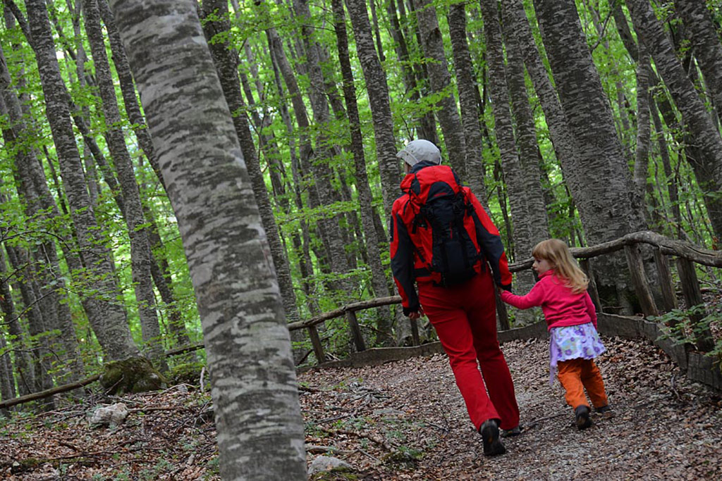 Forest bathing, Abruzzo, Majella, Riserva Lama Bianca