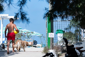 Vacanze estive al Pineto Beach in Abruzzo, servizi per animali