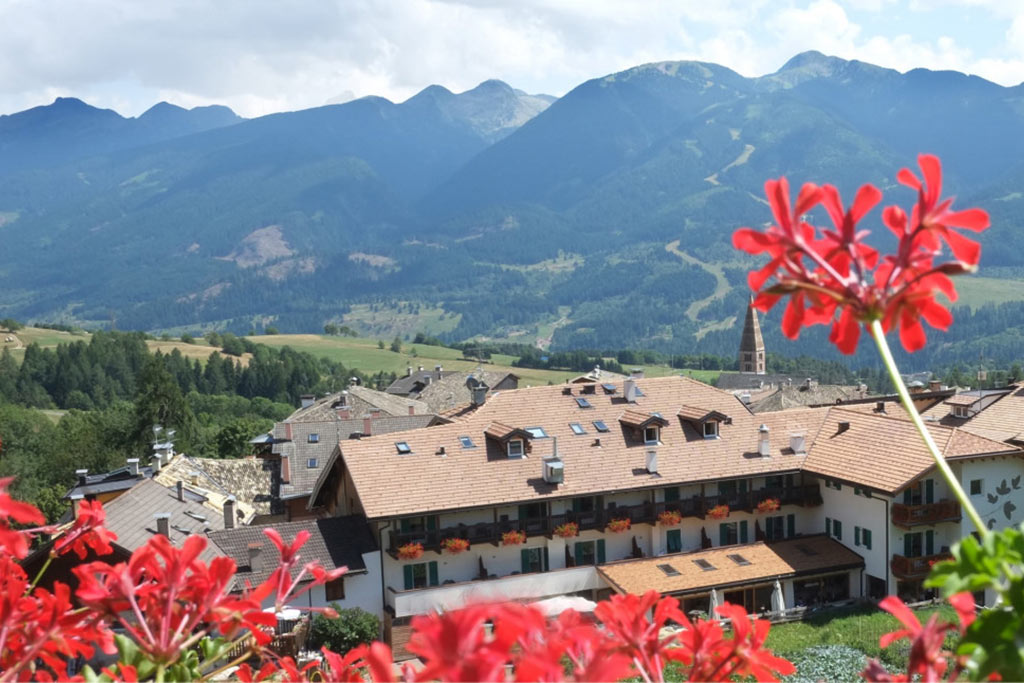 Hotel Alpino, per bambini in Val di Fiemme, panoramica estate
