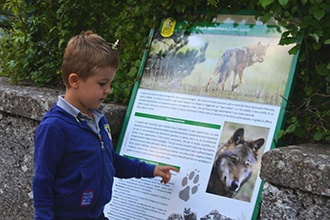 Parco d'Abruzzo con i bambini, lupi a Civitella Alfedena