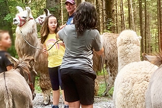 Weekend a Comano con i bambini, trekking con lama, alpaca e asinelli