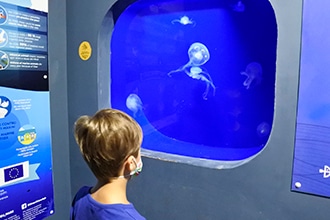 Visita all'acquario di Livorno con i bambini, meduse
