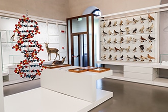 Museo Kosmos, DNA