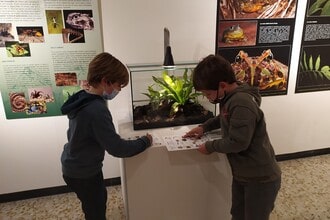 Attività didattiche alla mostra Selvatica a Biella