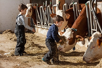 agriturismi con animali per bambini, masi Gallo Rosso in Alto Adige