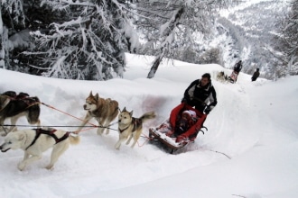 Sleddog Lombardia sulla neve con bambini