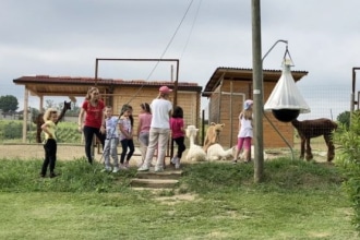 Attività con i bambini e gli alpaca