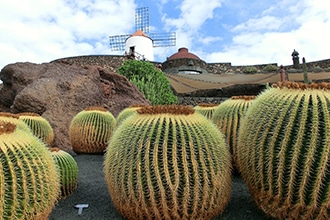 Lanzarote con bambini, jardin de Cactus