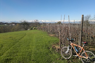 Gite di primavera in Piemonte con i bambini, il Roero in bici