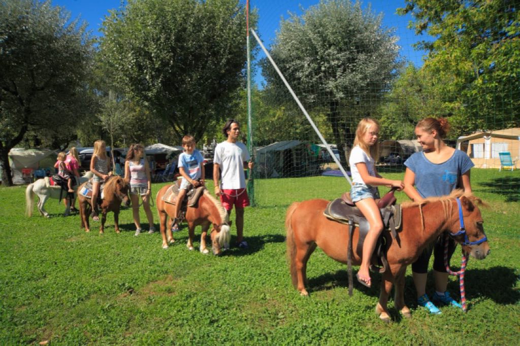 Camping Village Isolino per bambini sul Lago Maggiore, passeggiate sui pony