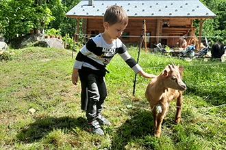Valsesia con bambini, escursione in fattoria