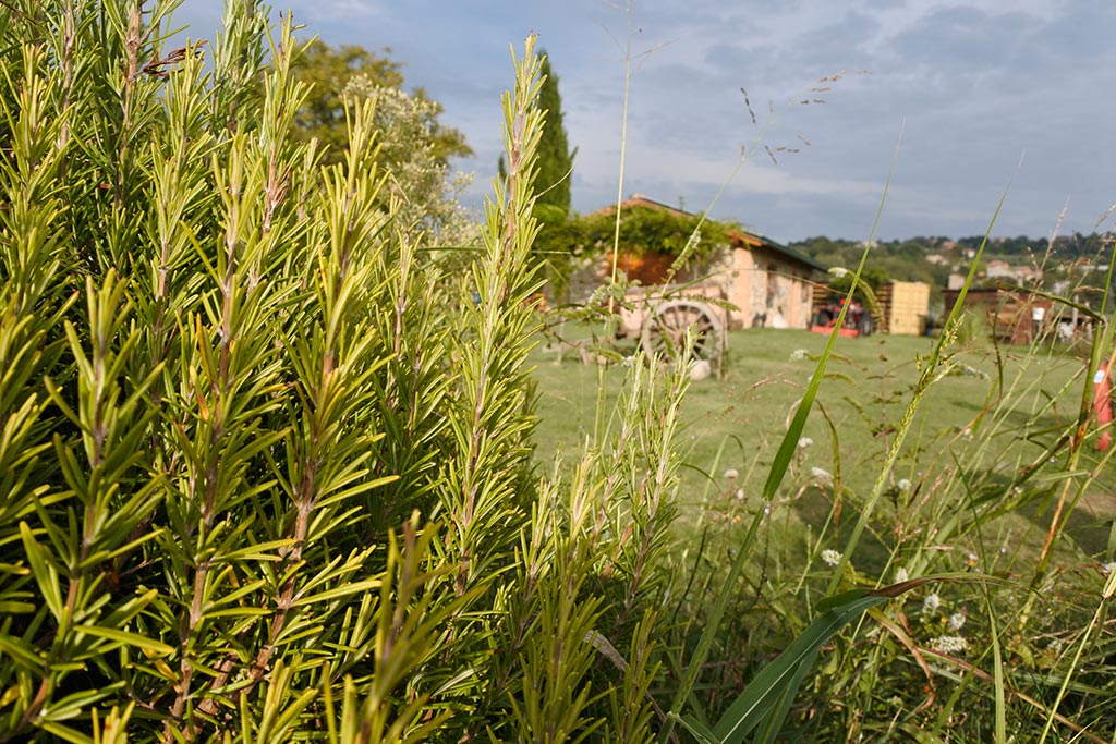 Agriturismo Borgo Santa Maria per bambini vicino Orvieto, vista dall'orto