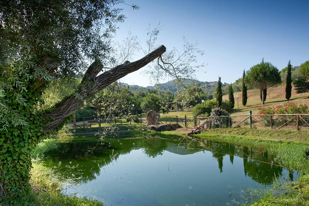 Villaggio Camping per bambini in Toscana Le Pianacce, il verde