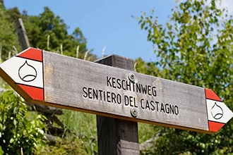 Dove raccogliere le castagne con i bambini in Alto Adige, i sentieri 