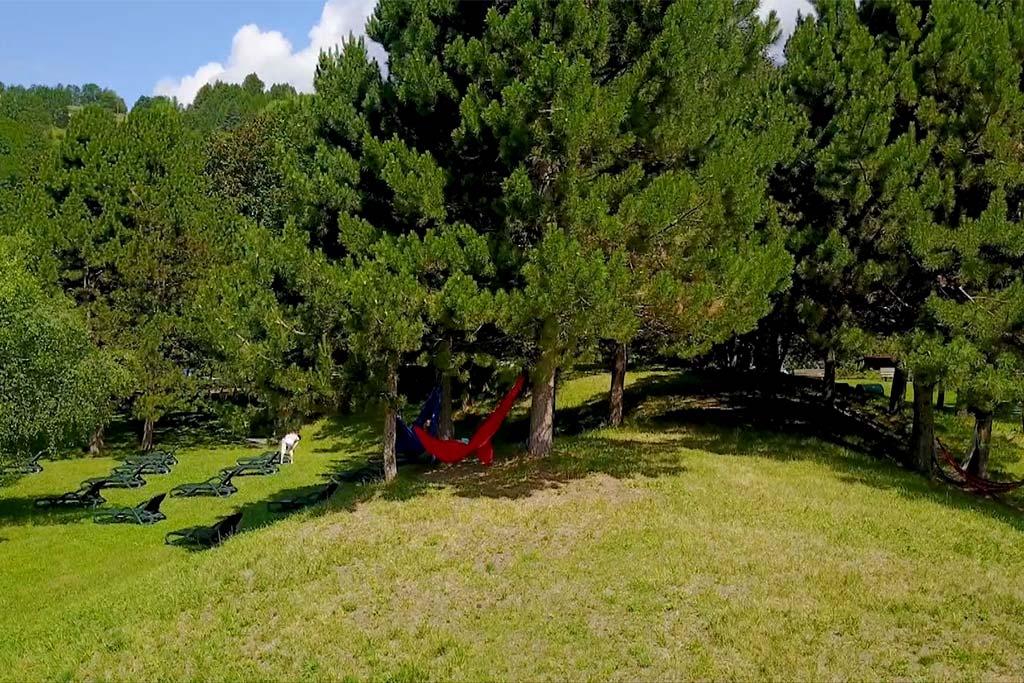 Residence Aparthotel Des Alpes per famiglie Val di Fiemme, parco privato