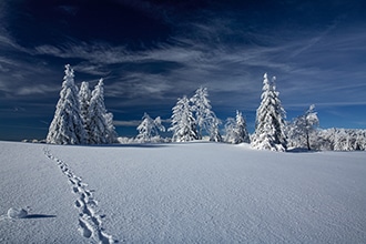 Monte Bondone inverno, passeggiate sulla neve