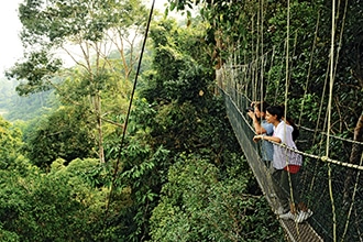 Malesia, Taman Negara Park, ponte sospeso