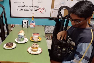 Viaggio nei bar dei gatti in Italia, il Cat café di Palermo