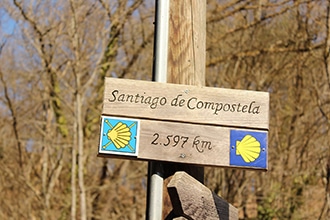 La conchiglia simbolo del Il Cammino di Santiago