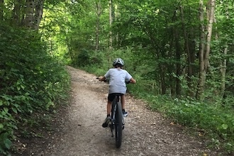Slovenia in bici e treno con i bambini per una vacanza green: percorsi sul lago di Bled