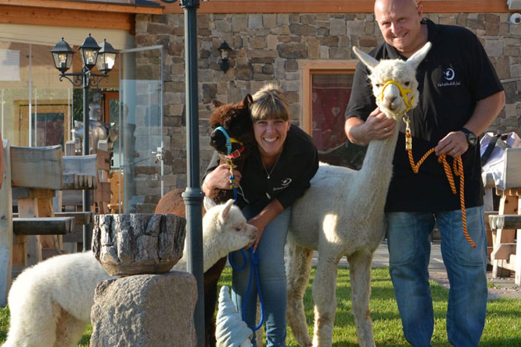 La Baita delle Fate, chalet-resort per bambini in Valfloriana, allevamento di alpaca
