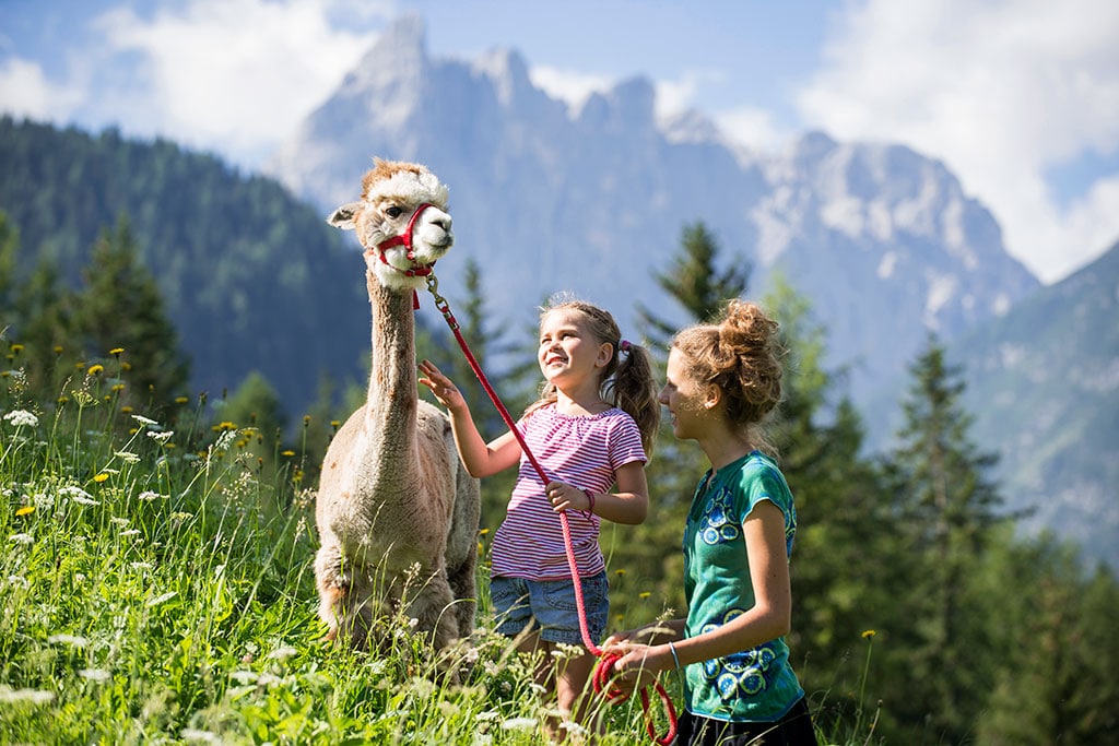 Family Resort Rainer per bambini in Val Pusteria, attività con gli animali della fattoria