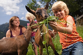 Vacanze in fattoria in Osttirol con i bambini, gli animali