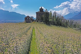 Aprile dolce fiorire in Trentino: le passeggiate nella natura