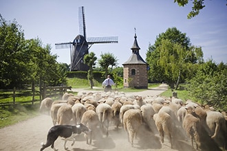 Le Fiandre di Bruegel, museo open air Bokrijk