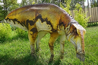 Selva di Cadore, Dinosauri in carne e ossa