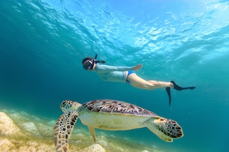 Vacanze in barca per famiglie: salvare le tartarughe 
