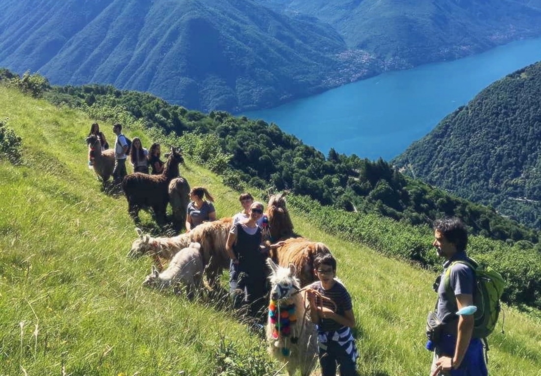 Agriturismo Le Radici Escursioni Lago di Como
