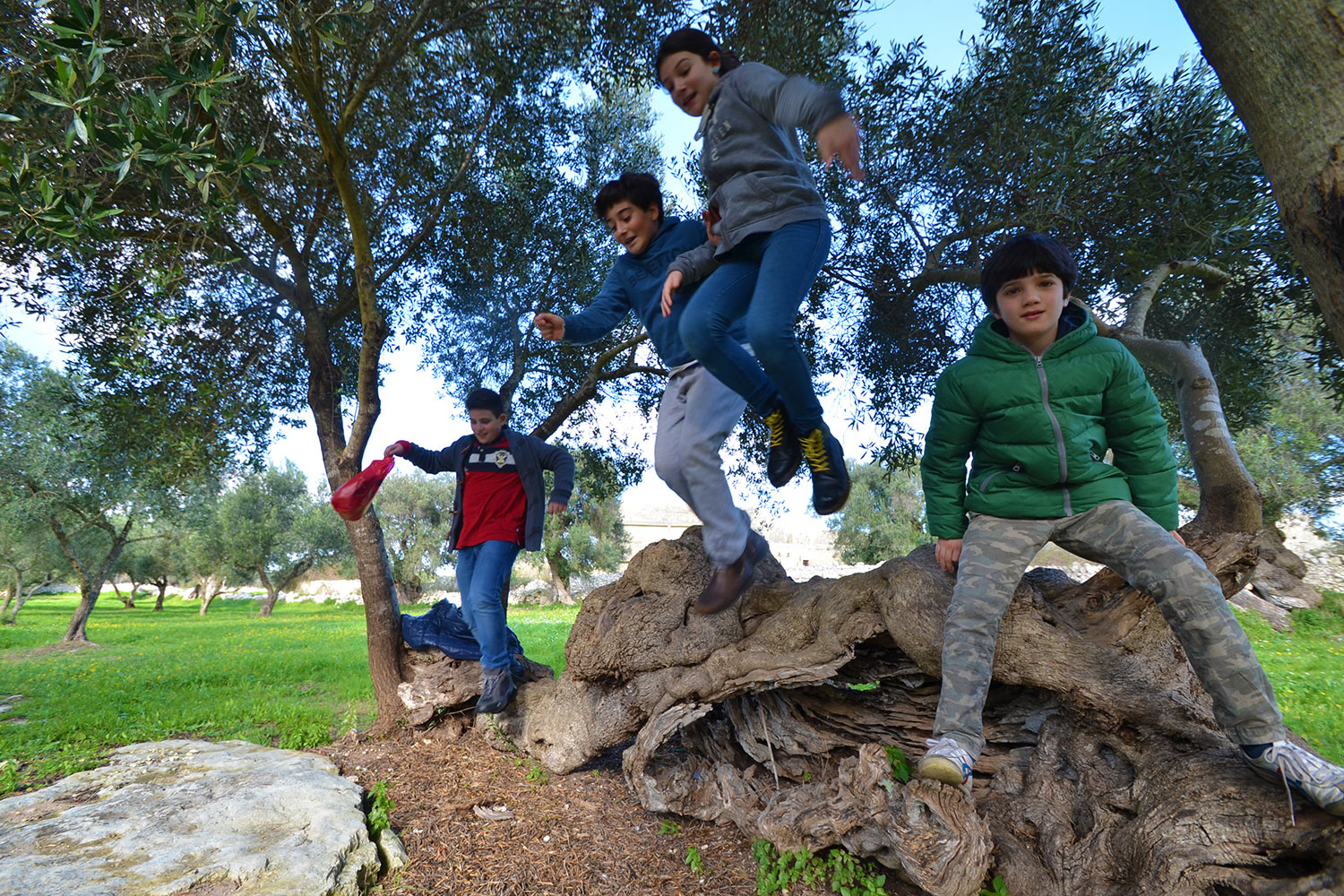 Ponte primo novembre con bambini, in Puglia tra gli ulivi