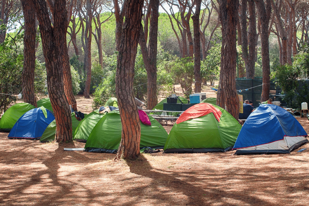 Gruppo Gitav Il Gabbiano piazzola tenda