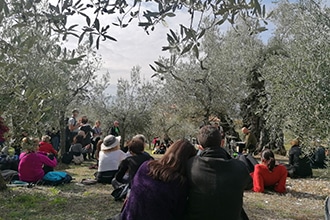 Frantoi Aperti in Umbra, musica tra gli olivi secolari