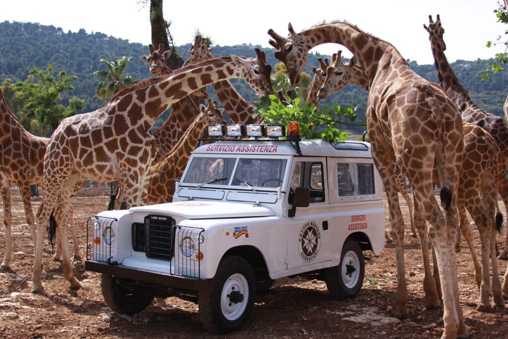 zoo safari fasano bisogna prenotare