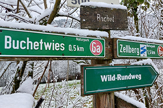 Sentieri nella Foresta Bavarese in inverno