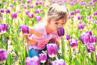 Campi di tulipani con bambini