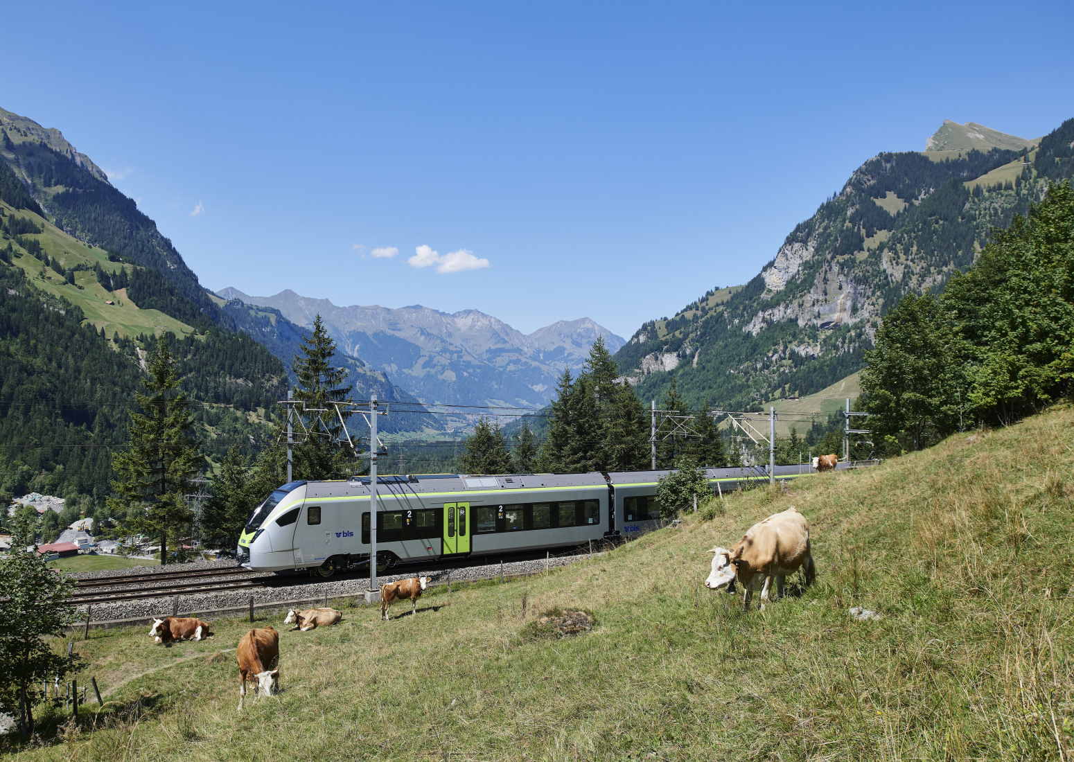 Promozione trenino verde delle Alpi