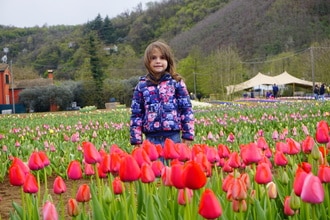Tulipani Euganei: il campo you-pick ai piedi dei Colli Euganei