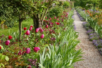 Giardino della casa di Monet, Giverny, Normandia
