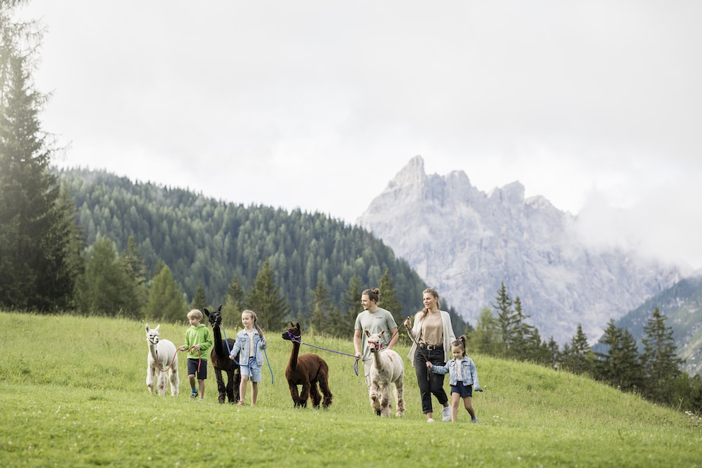 Family Resort Rainer per bambini in Val Pusteria, fattoria didattica, alpaca