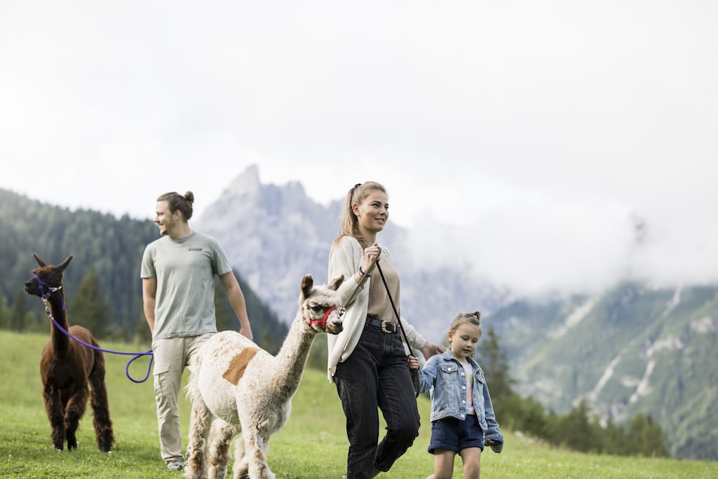 Family Resort Rainer per bambini in Val Pusteria, fattoria didattica, alpaca