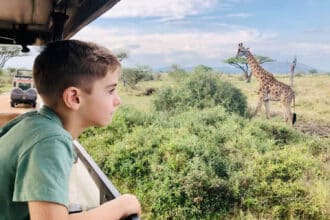 Un momento di un Safari in Tanzania
