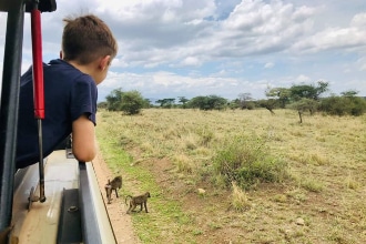 Tanzania con i bambini, safari