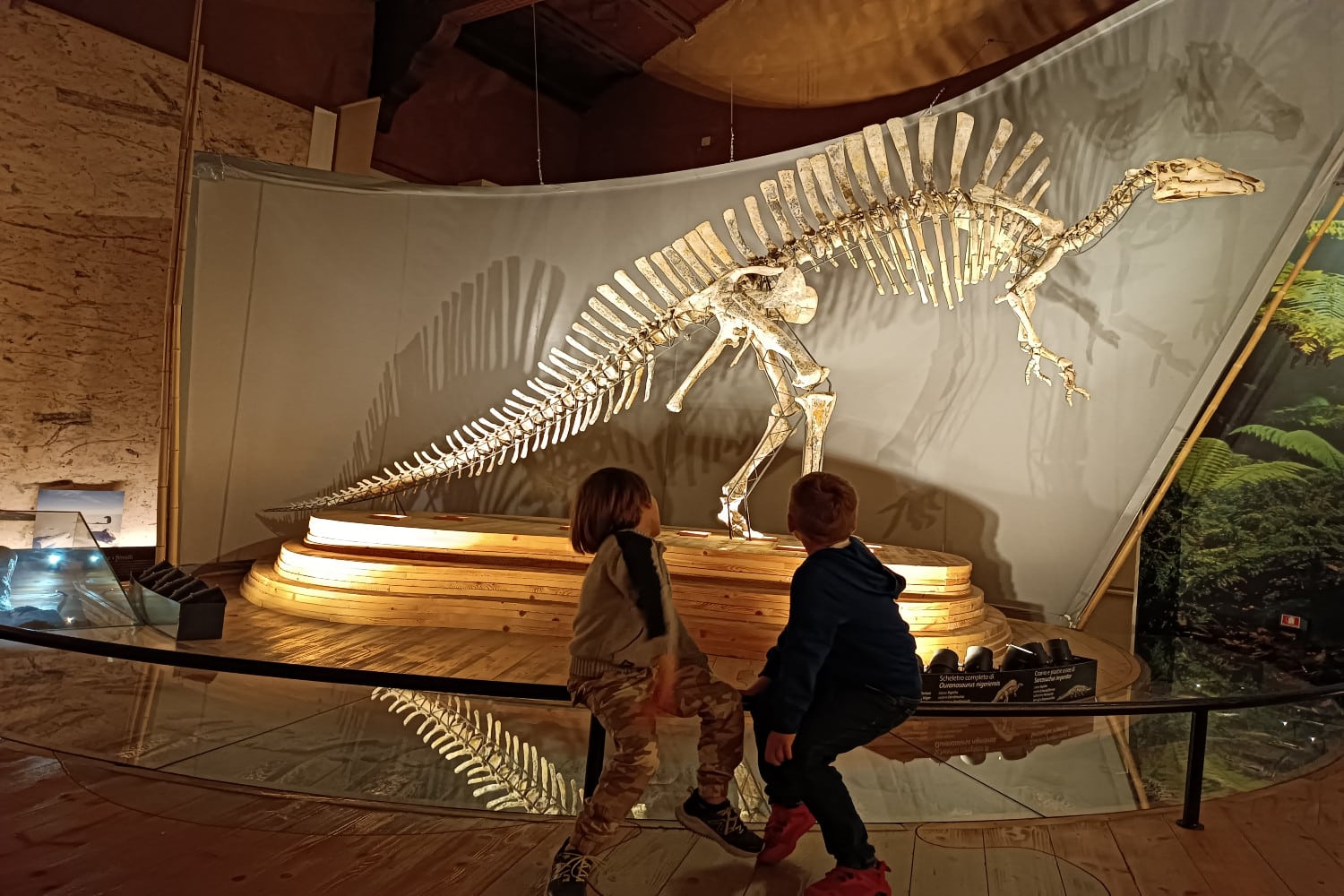 Scheletro di dinosauro al Museo di storia naturale di Venezia