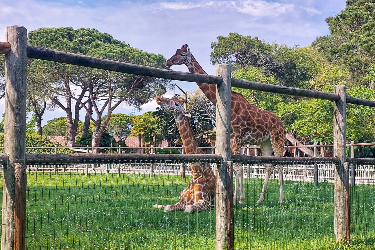 Lignano Sabbiadoro, Parco Zoo Punta Verde
