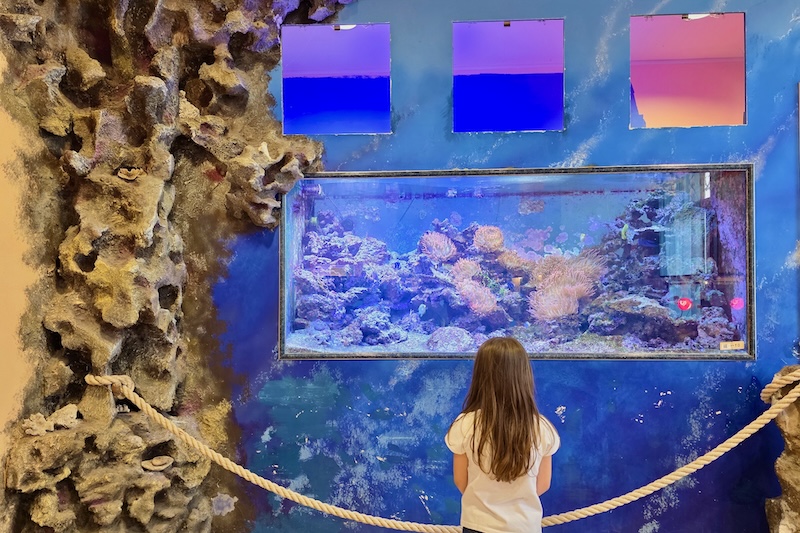Esapolis: il museo degli insetti di Padova