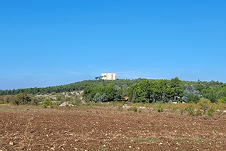 Vista da lontano di Castel del Monte in Puglia